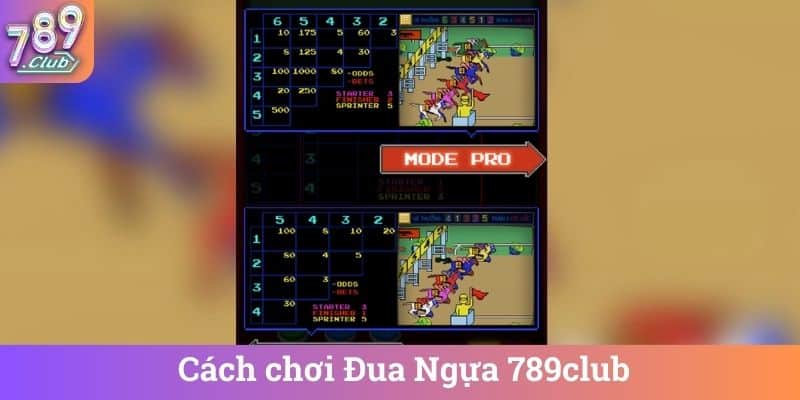 Cách chơi Đua Ngựa 789club